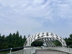 -同里国家湿地公园