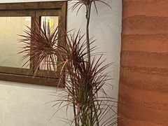-雲說·花(西宸天街店)