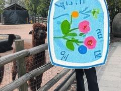 -苏州太湖西山岛开心农场