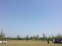 -上海长兴岛郊野公园