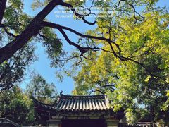 -建水文庙