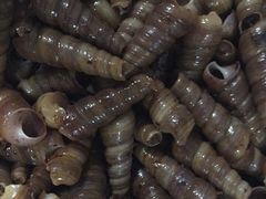 -宾朋海鲜特色美食餐厅·纯手工鲅鱼水饺(兴海路店)