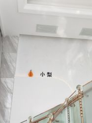-小梨专业脱毛连锁机构