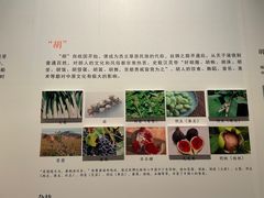 -南越王博物院(王宫展区)