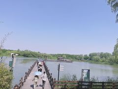 -溱湖国家湿地公园