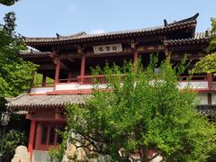 -趵突泉景区