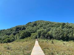 -白草畔自然风景区