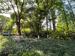 -上海佘山国家森林公园西佘山园