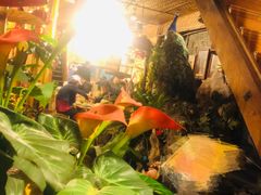 -多哥水傣味餐厅(司马巷店)