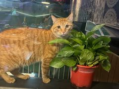 -夜猫子串吧·龙虾.江西小炒(万塘路店)