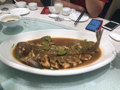 -丽苑大酒店