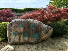 -嘉定紫藤园