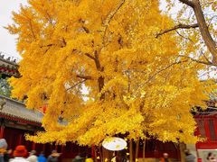 -承恩寺