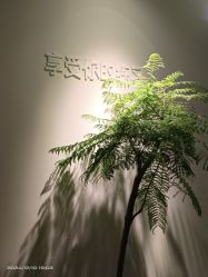 -闺蜜瑜伽·普拉提女性塑形馆