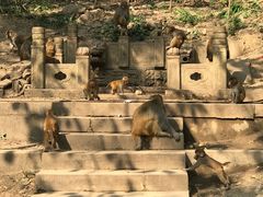 -黔灵山公园