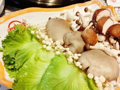 -胖锅轩(北湖店)
