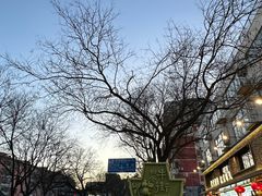 -牛街·马辈儿涮肉(牛街总店)