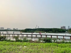 -海珠湖公园