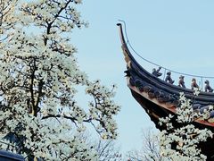 -灵谷景区