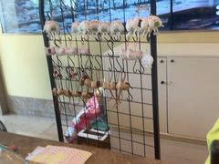 -堂会(天河店)