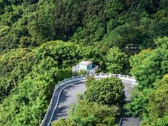 -阳台山森林公园