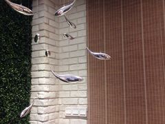 -菩提树·素食餐厅(汇智国际商业中心店)