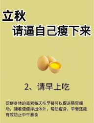 -Fundi张玉珊修身堂·indiba·BTL科技瘦身