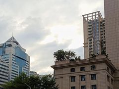 -杨箕村B区
