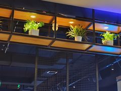 -醉炫音速烧烤·干煸菜(沙河总店)