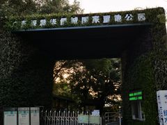 -华侨城湿地公园