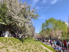 -元大都城垣遗址公园