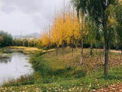 -清溪水库