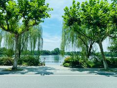 -西湖外事游船(花港观鱼码头)