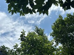 -秋果四合院酒店(北京王府井协和医院店)