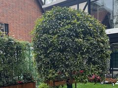 -一尺花园(安和花园店)