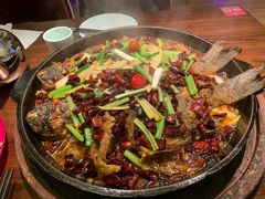 -老板恋上鱼(荣盛广场店)