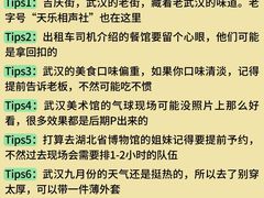 -武汉天乐社武宫剧场