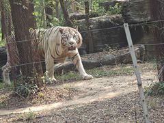 -秦皇岛野生动物园