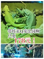 -七巧国萌宠乐园(龙湖天街店)