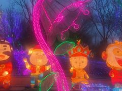 -南宫五洲植物乐园