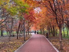 -长春市南湖公园