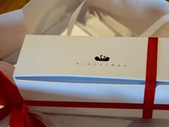 -BLACKSWAN黑天鹅(环球店)