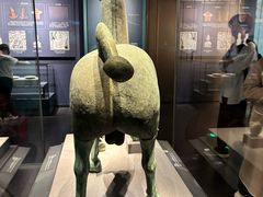 -广西壮族自治区博物馆