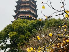 -北寺塔