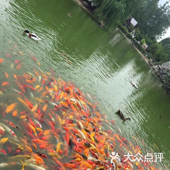 常州红事会花鸟园婚礼主题酒店