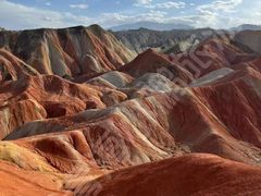 -金塔沙漠胡杨林景区