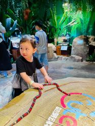 -酷嗒动物文化乐园(cutezoo西溪乐天城店)