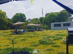 -田园东方蜜桃村的田野营地