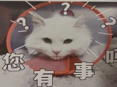 -美联众合动物医院·24h转诊中心