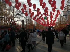 -曹州牡丹园